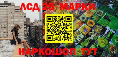 прущие грибы Кулебаки