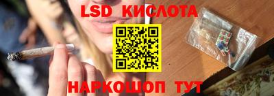 прущие грибы Кулебаки