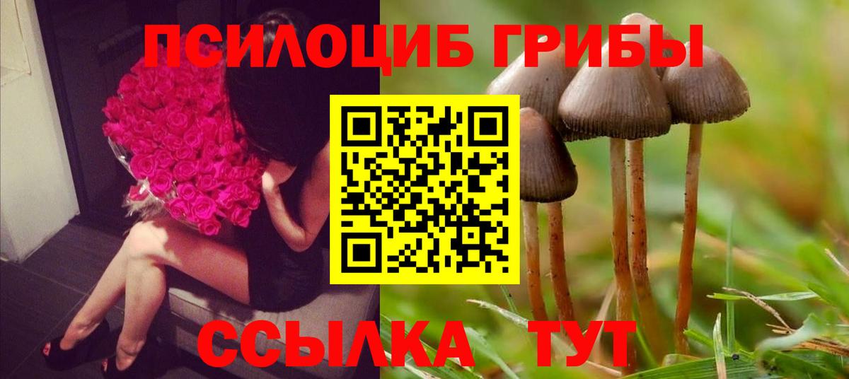 Троицк  Псилоцибиновые грибы MAGIC MUSHROOMS  Вход с VPN 